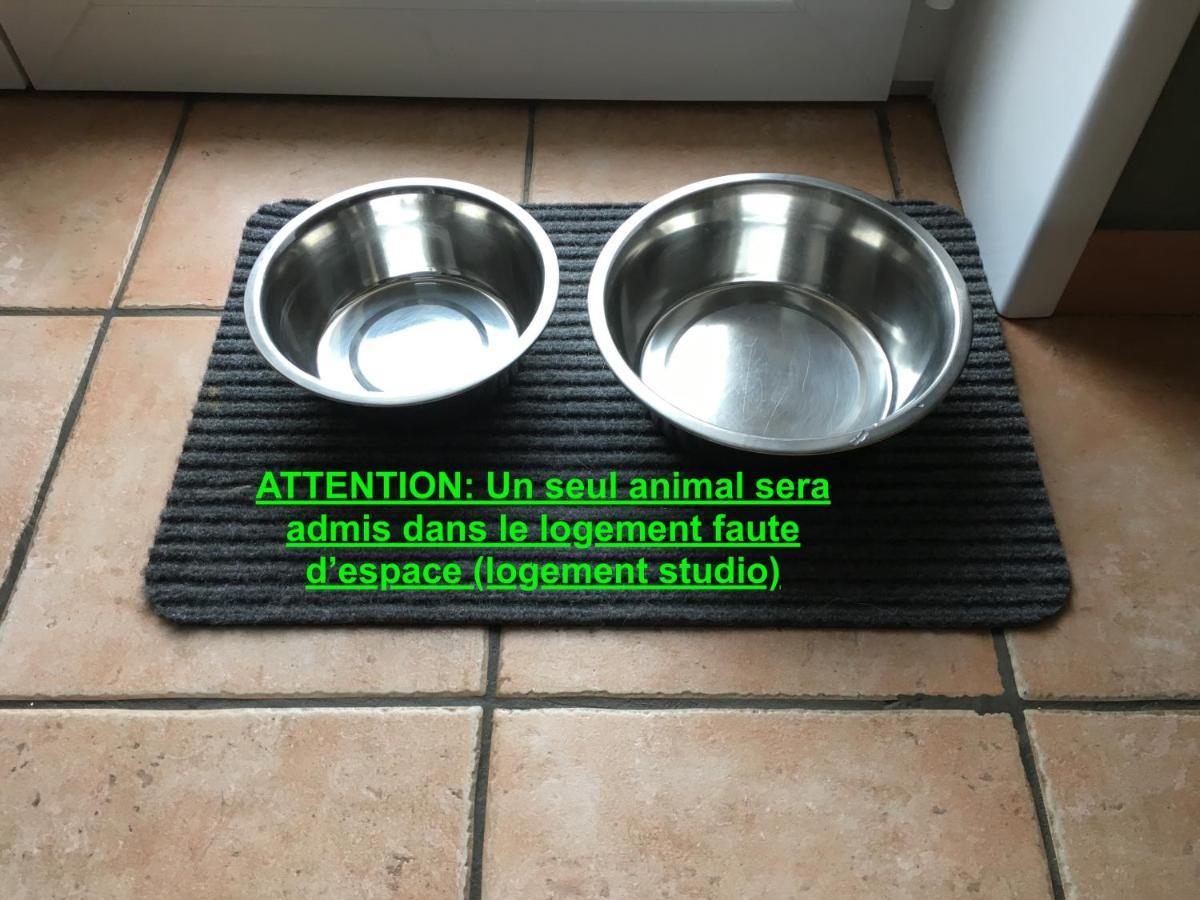 Studio "Pause A La Naturelle" Wimereux- Cote D'Opale Luaran gambar